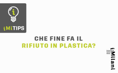 Riciclo della plastica: destinazioni e sfide dei rifiuti in Italia